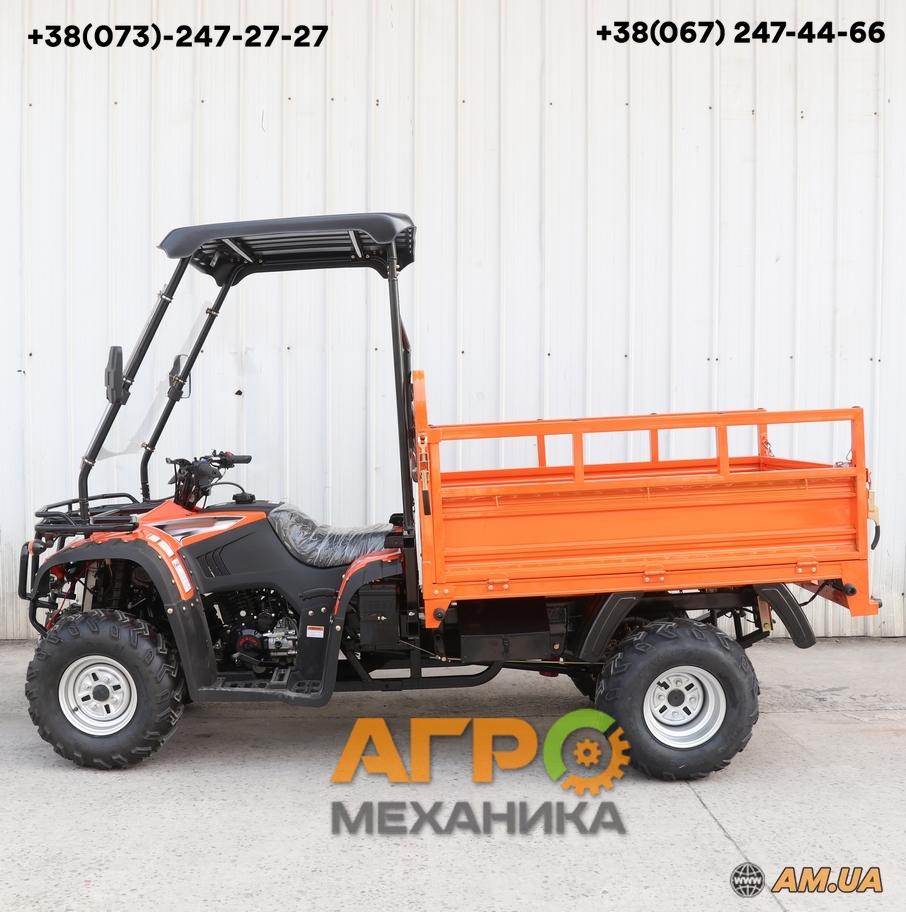 Вантажний квадроцикл Renegade ATW-300CC-R ціна на Am.ua