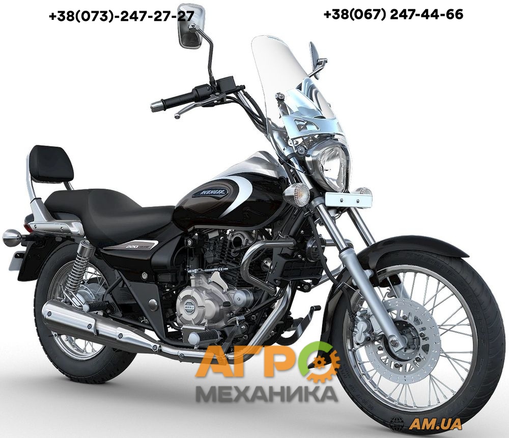 Bajaj avenger sale 400 cruise 2019