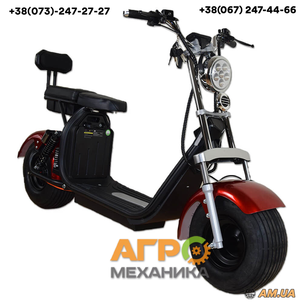 Электроскутер Renegade CITYCOCO 1500W 60V 20Ah - купить в Киеве и ...